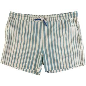Blue and White Striped Swim Trunks